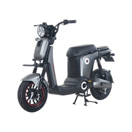 Xe đạp điện