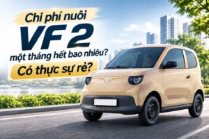 Chi phí nuôi VF 2 một tháng hết bao nhiêu? Có thực sự rẻ?