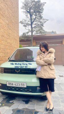 Wuling Hongguang Mini EV 120071