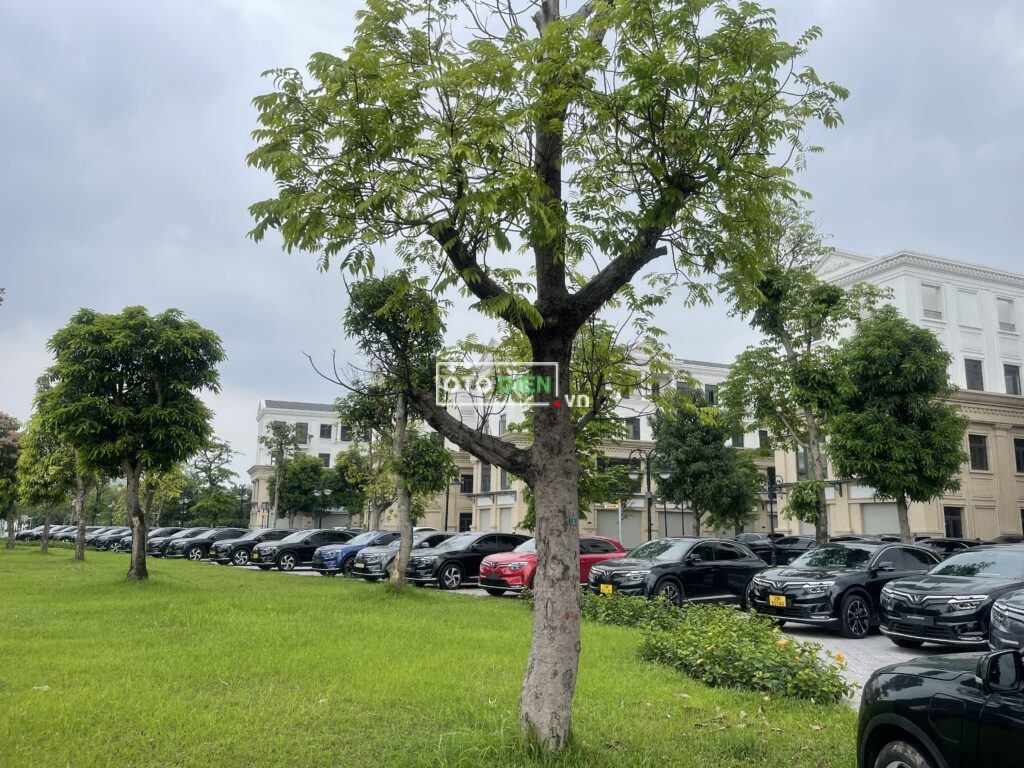 
												VinFast VF8 Eco 2023 cũ – 25000 km full												