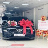 Avatar Phúc Vinfast Lướt